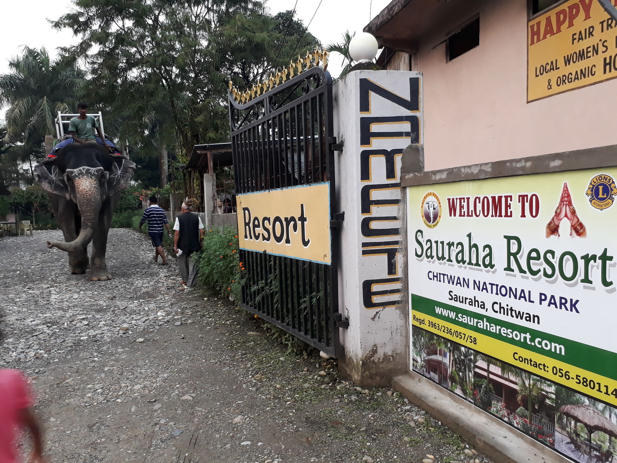 Ama Garden Sauraha Hotel Exterior photo