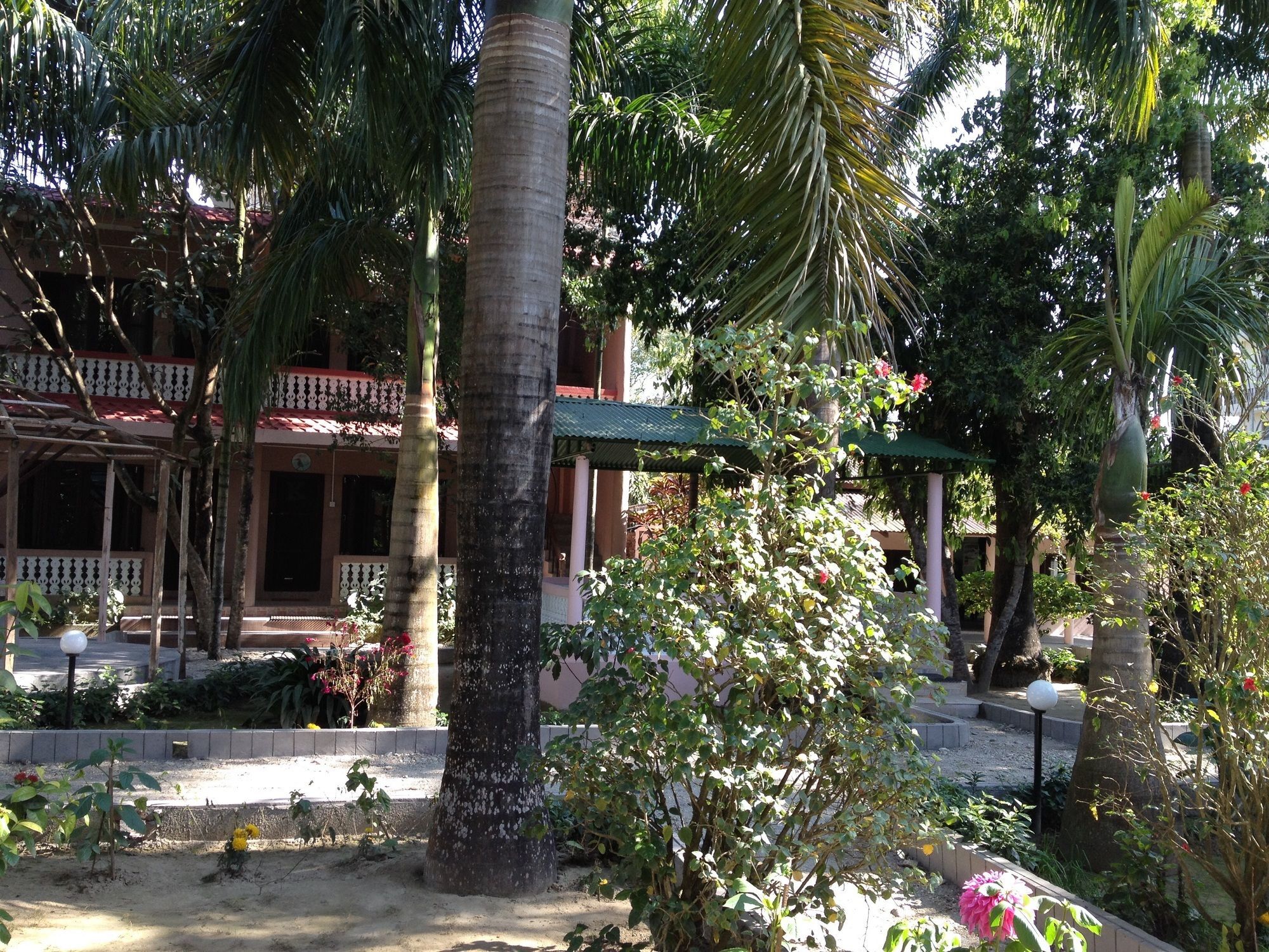 Ama Garden Sauraha Hotel Exterior photo