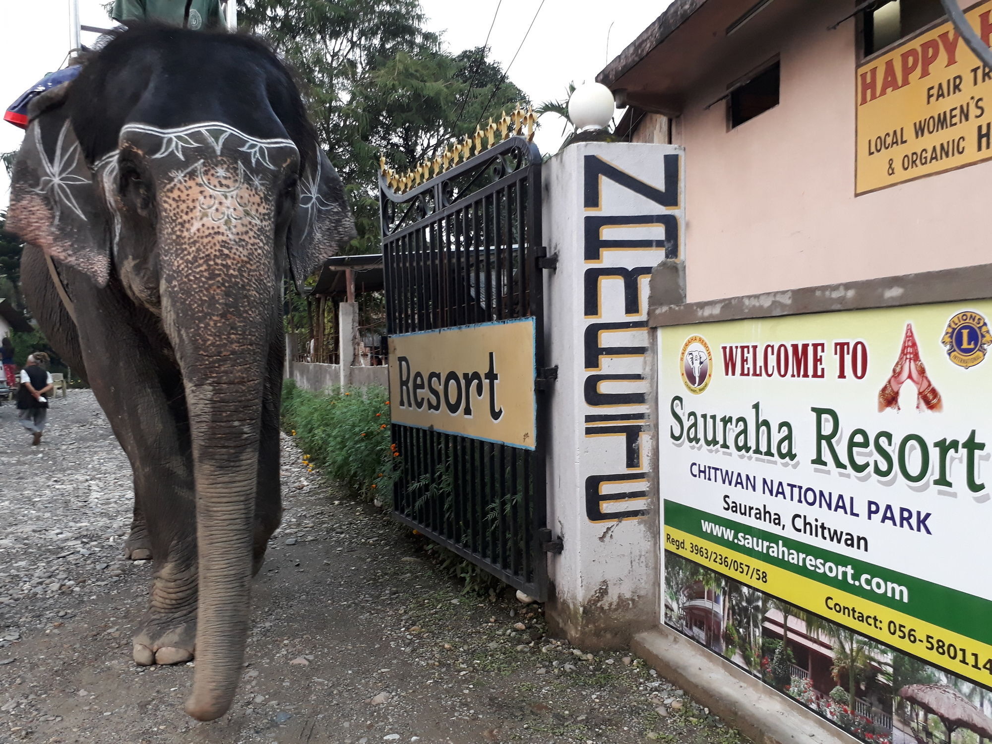 Ama Garden Sauraha Hotel Exterior photo