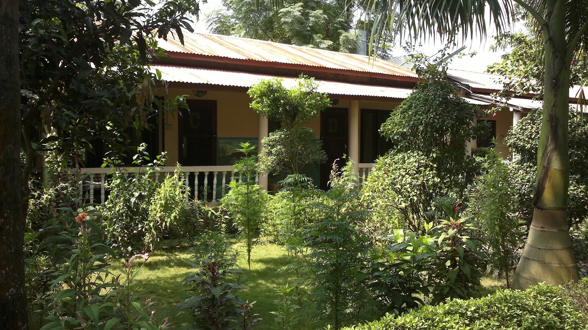 Ama Garden Sauraha Hotel Exterior photo